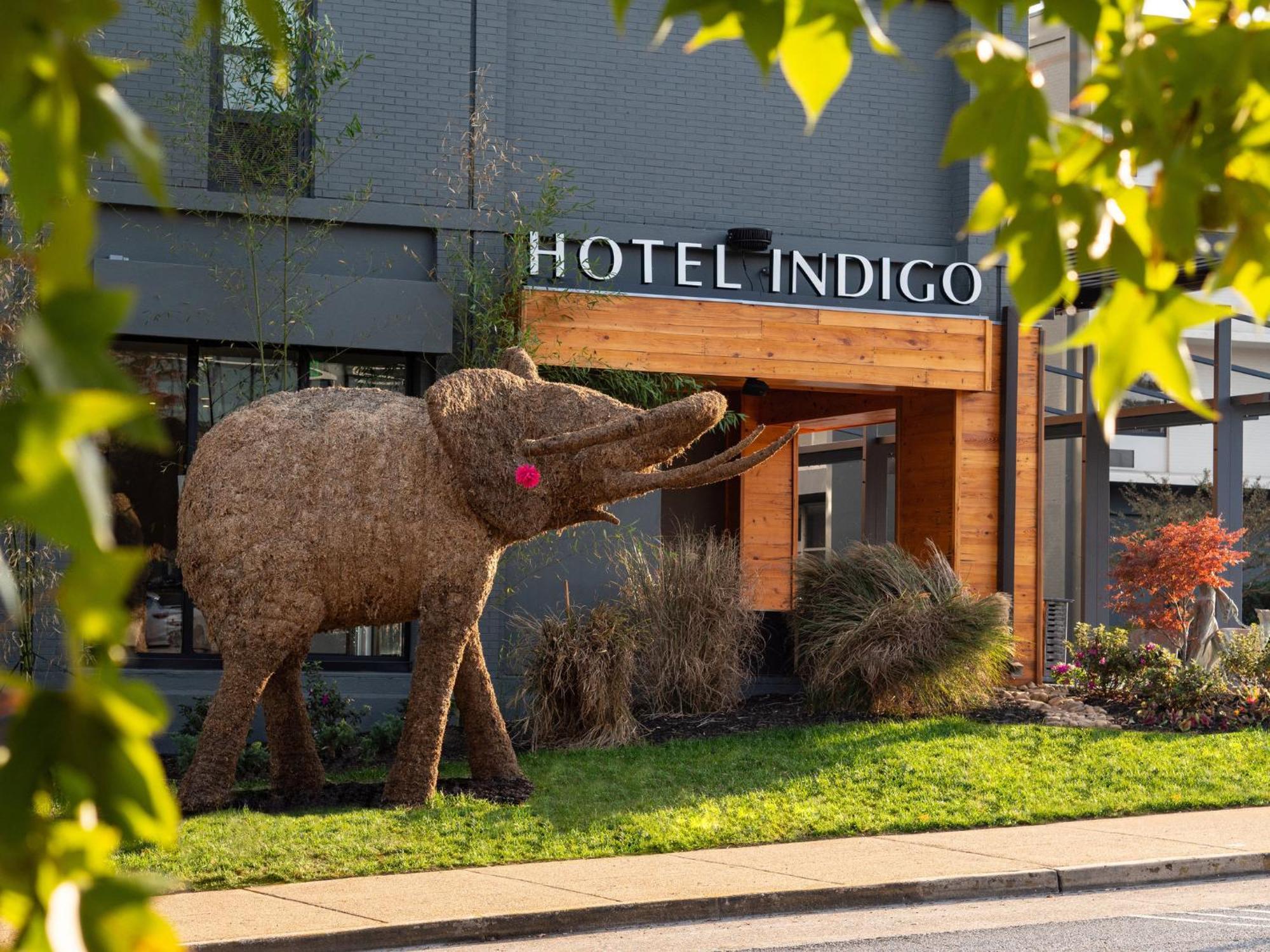 Hotel Indigo Chattanooga - Downtown By Ihg Екстериор снимка